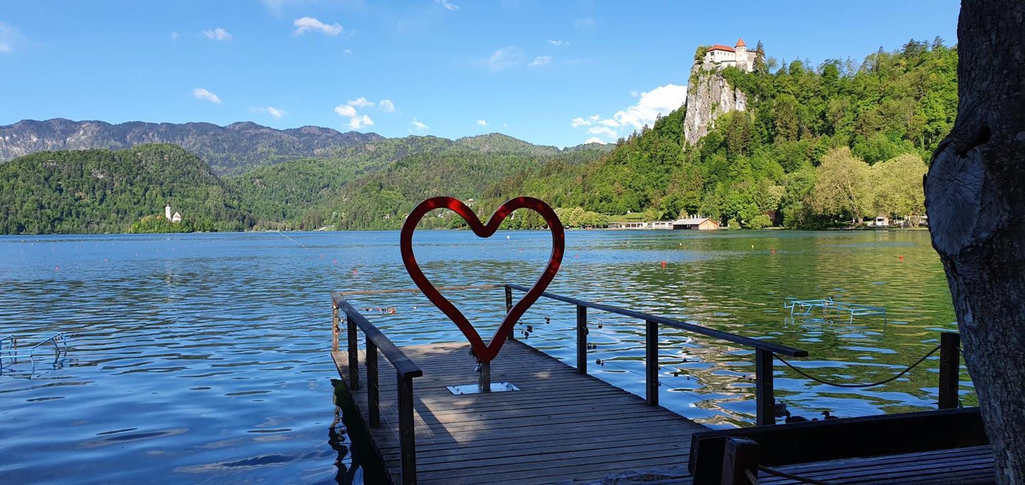 Apartma Jezerci Leilighet Bled Rom bilde